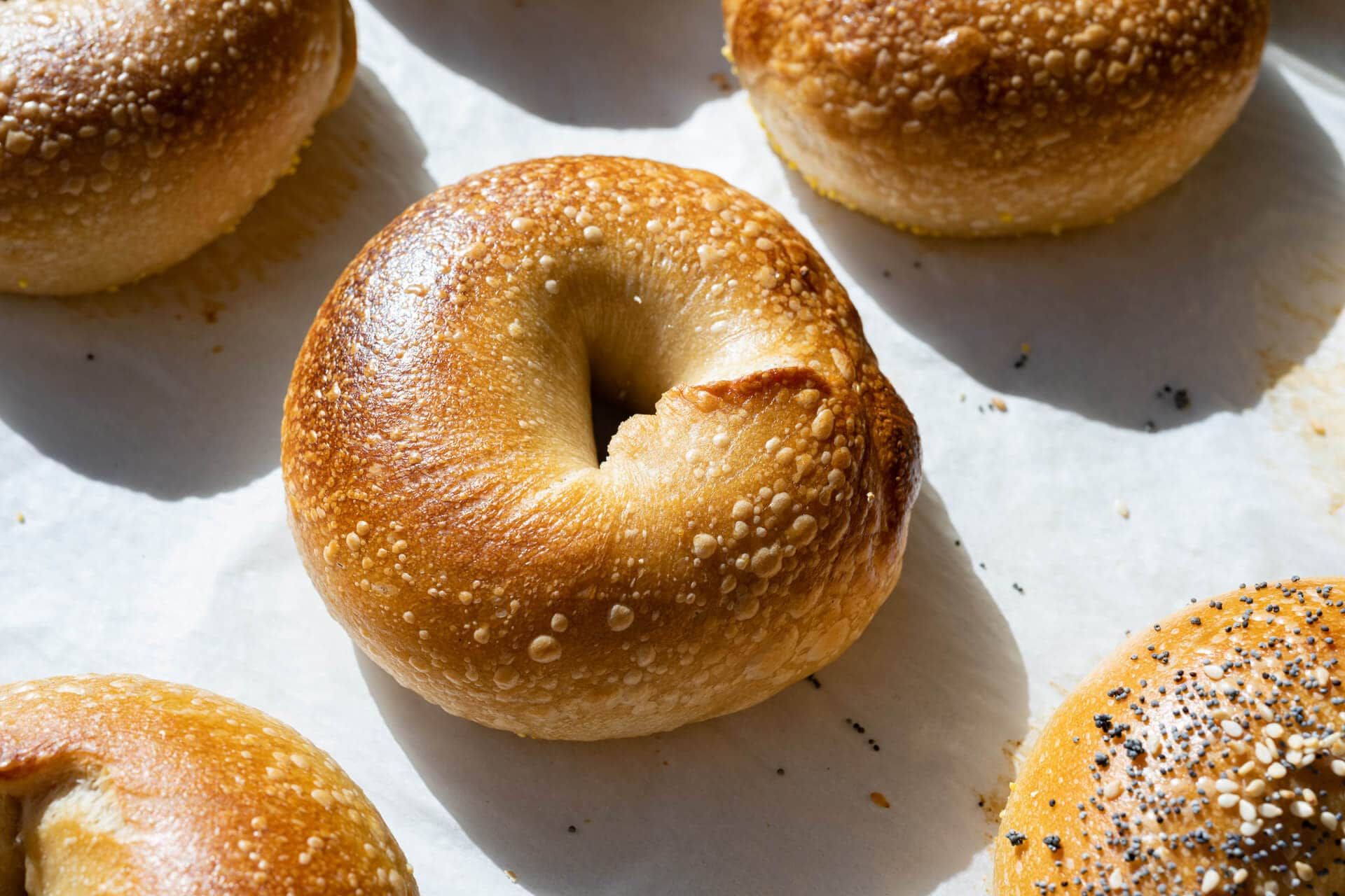 Sourdough Bagels