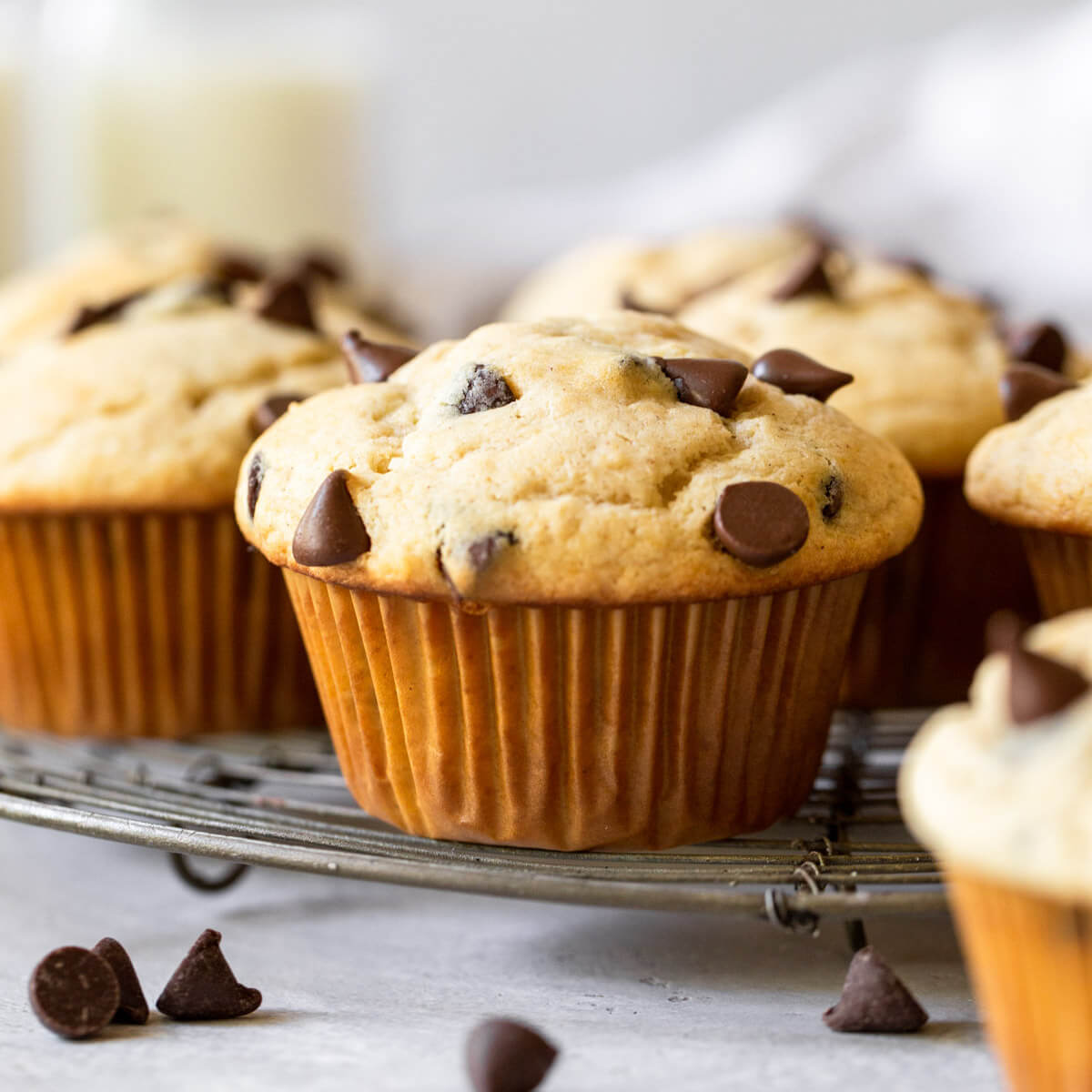 Chocolate Chip Muffins